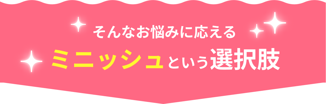 そんなお悩みに応えるミニッシュという選択肢